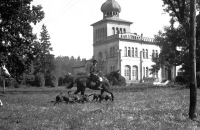 Castello in vendita Osiek, Pałac w Osieku, Piccola Polonia, Vista storica