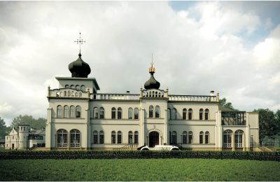 Castello in vendita Osiek, Pałac w Osieku, Piccola Polonia, Visualizzazione