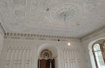 Castello in vendita Osiek, Pałac w Osieku, Piccola Polonia, Foto 10/38