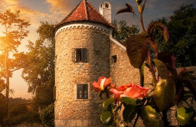 Herrenhaus/Gutshaus erwerben Region Trnava, Foto 1/45