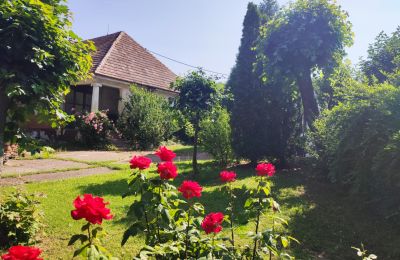 Villa padronale in vendita Trnavský kraj, okres Hlohovec, Koplotovce, Frídeský kaštieľ, Regione di Trnava, Vedlajšia kúria