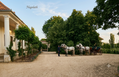 Herrenhaus/Gutshaus erwerben Region Trnava, upravení dobová foto