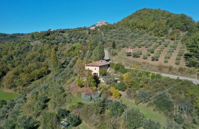 Casa di campagna 06010 Monte Santa Maria Tiberina, Umbria