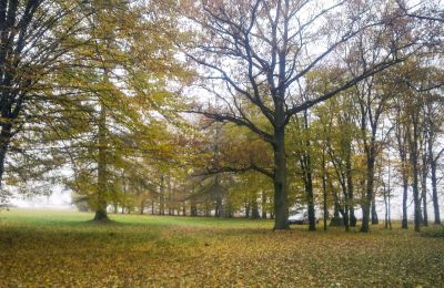Historischer Park kaufen Skorki, Masowien,, Grundstück
