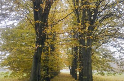 Historischer Park kaufen Skorki, Masowien,, Foto 4/6