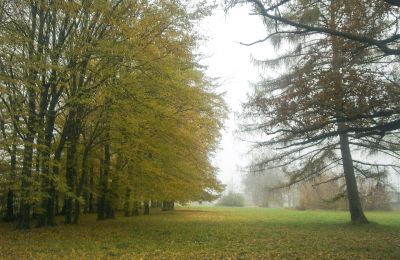 Historischer Park kaufen Skorki, Masowien,, Park