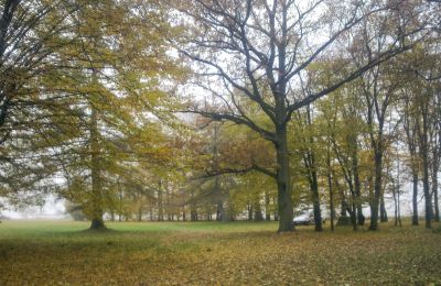 Historischer Park kaufen Skorki, Masowien,, Foto 5/6