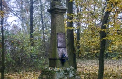 Historischer Park kaufen Skorki, Masowien,, Foto 6/6