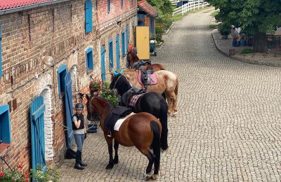 Herrenhaus/Gutshaus kaufen Krzyż Wielkopolski, Großpolen, Foto 13/20