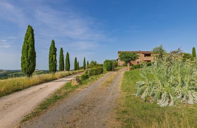 Landhaus kaufen Montalcino, Toskana, Foto 11/26