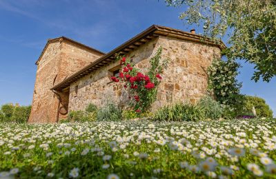 Landhaus kaufen Montalcino, Toskana, Foto 14/26