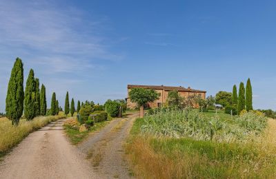 Landhaus kaufen Montalcino, Toskana, Foto 8/26