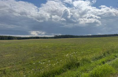 Landhaus kaufen Westpommern, Foto 25/26