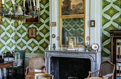 Château à vendre Vitry-le-François, Grand-Est, Détails