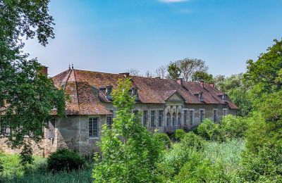Château à vendre Vitry-le-François, Grand-Est, Parc