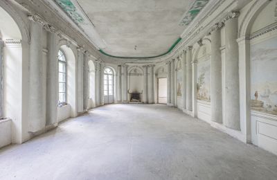 Château à vendre Luberadz, Mazovie, Salle de bal