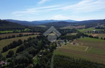 Herrenhaus/Gutshaus kaufen Radochów, Niederschlesien, Foto 9/10