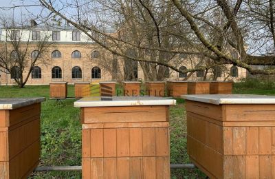 Villa padronale in vendita Ojrzanów, Pałac w Ojrzanowie, Masovia, Foto 14/18