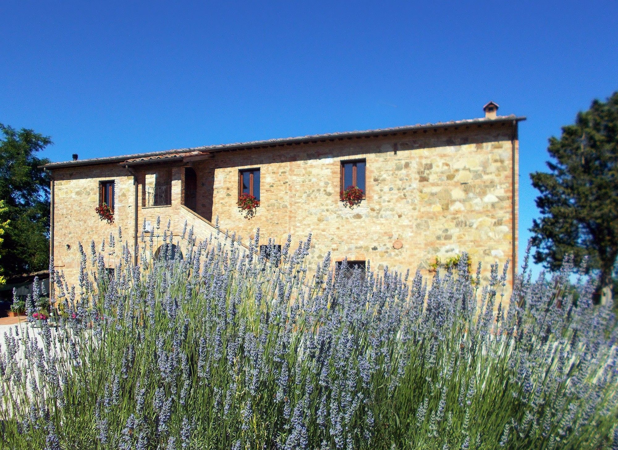 Immagini Centrally located Tuscan farmhouse - B&B or self catering accommodation with swimming pool