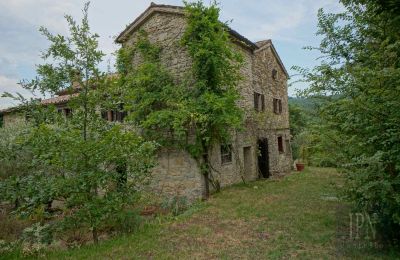 Landhaus kaufen 06010 Monte Santa Maria Tiberina, Umbrien, Foto 25/50