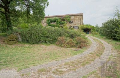 Landhaus kaufen 06010 Monte Santa Maria Tiberina, Umbrien, Foto 31/50