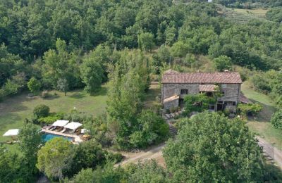 Landhaus kaufen 06010 Monte Santa Maria Tiberina, Umbrien, Foto 13/50