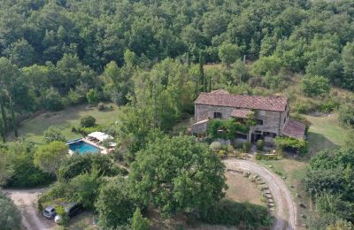 Landhaus kaufen 06010 Monte Santa Maria Tiberina, Umbrien, Foto 14/50