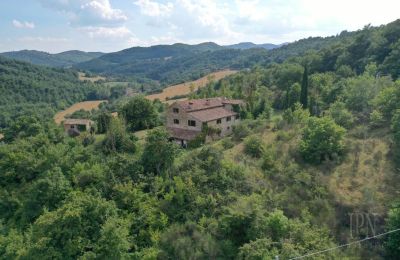 Landhaus kaufen 06010 Monte Santa Maria Tiberina, Umbrien, Foto 16/50