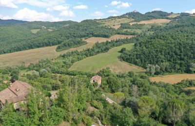 Landhaus kaufen 06010 Monte Santa Maria Tiberina, Umbrien, Foto 17/50