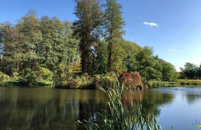 Herrenhaus/Gutshaus kaufen Ojrzanów, Pałac w Ojrzanowie, Masowien, Teich/See