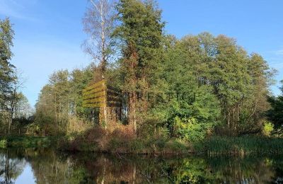 Herrenhaus/Gutshaus kaufen Ojrzanów, Pałac w Ojrzanowie, Masowien, Park