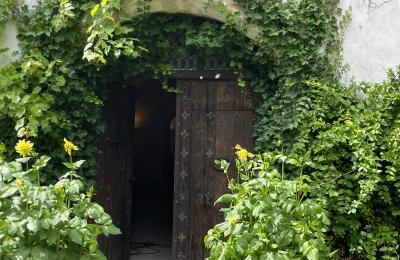 Château à vendre 84375 Kirchdorf am Inn, Hofmarkstraße 2, Bavière, Image 3/47