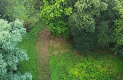 Historischer Park Iłowa, Lebus