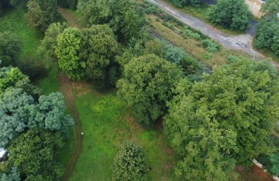 Historischer Park kaufen Iłowa, Kolejowa 11, Lebus, Foto 16/17