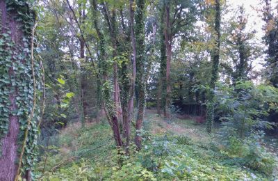 Historischer Park kaufen Iłowa, Kolejowa 11, Lebus, Foto 7/17