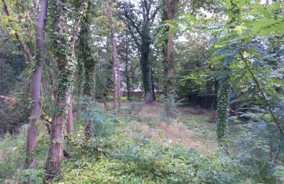 Historischer Park kaufen Iłowa, Kolejowa 11, Lebus, Foto 9/17