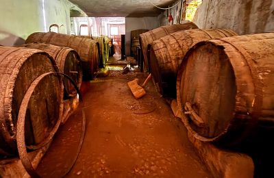 Palazzo in vendita Ribera, Roma 37, Sicilia, Cantina