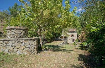 Mühle kaufen Cortona, strada provinciale 34, Toskana, Foto 10/35