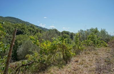 Mühle kaufen Cortona, strada provinciale 34, Toskana, Foto 12/35