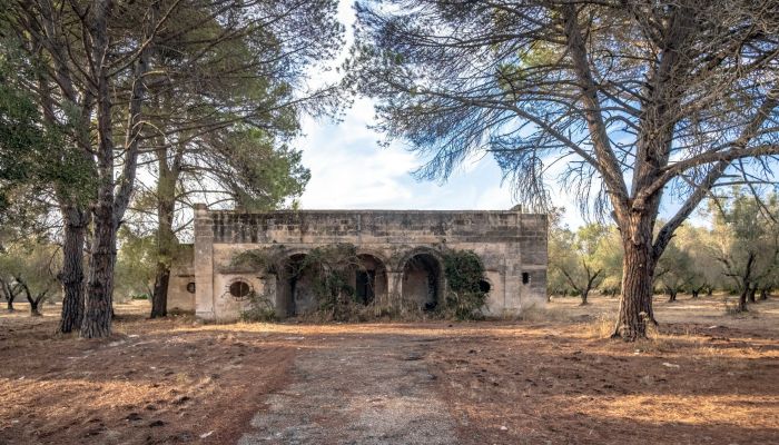 Maison de campagne historique près de Manduria : projet de rénovation en Pouilles