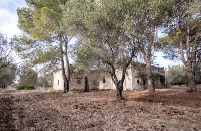 Casa di campagna in vendita Manduria, Via per Lecce km 2, Puglia, Foto 27/31