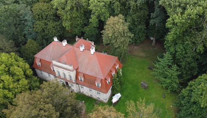 Palais baroque en Grande-Pologne - salle de bal rococo originale