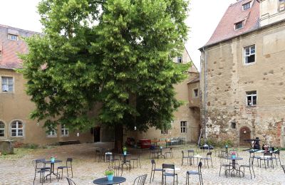 Schloss erwerben Mühlberg/Elbe, Schlossplatz 1, Brandenburg, Foto 8/20