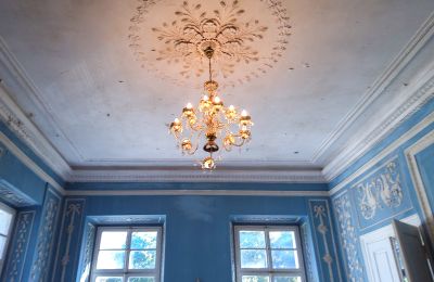 Schloss kaufen Siedlec, Pałac w Siedlcu, Großpolen, Salon