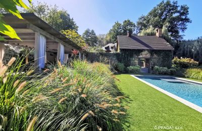 Mühle kaufen Netvořice, okres Benešov, Foto 3/21