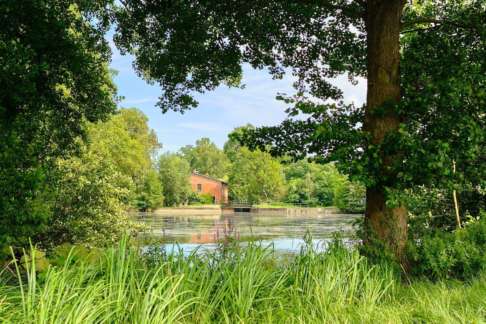 29451 Dannenberg, Basse-Saxe à vendre