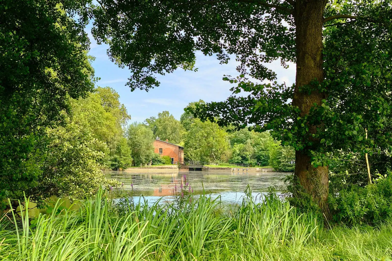 29451 Dannenberg, Niedersachsen zu erwerben