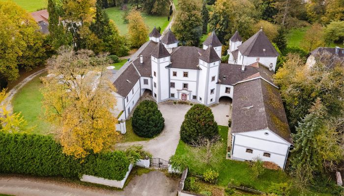 Château à vendre 4693 Desselbrunn, Oberösterreich,  Autriche