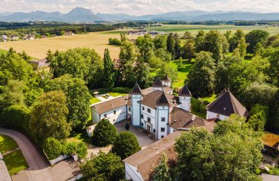 Château 4693 Desselbrunn, Haute-Autriche