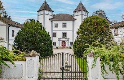 Schloss kaufen 4693 Desselbrunn, Oberösterreich, Die herrschaftliche Rückansicht im Nordosten des Ensembles